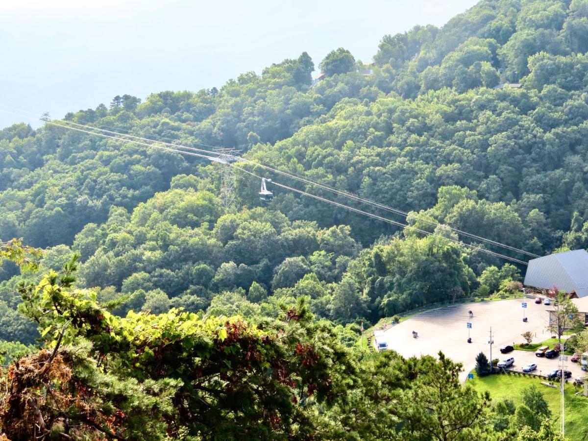 Million Dollar Views! 4 Bedroom, Sleeps 9, Close To National Park And 5 Mi To Gatlinburg! Eksteriør billede